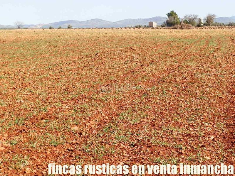 Foto eaa854f1-122a-42c3-b5a3-ba8dcb5c0b2c. Propriété dans Valdepeñas