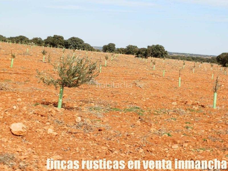 Foto 044c848e-5648-4a7b-808d-7fd5034e4bd3. Finca rústica a Solana (La)