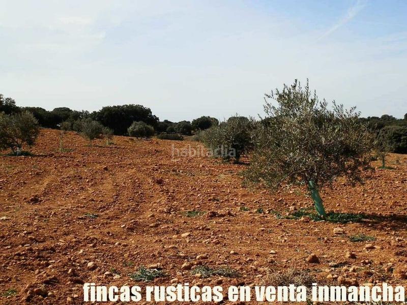 Foto 0506816d-4f74-496e-9edd-7e09337aa96d. Finca rústica a Solana (La)