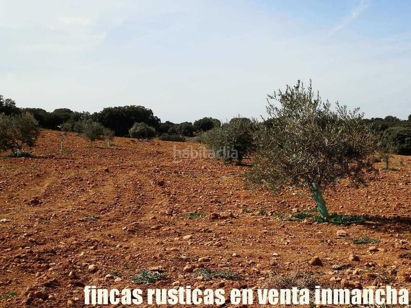 Foto 117c4f70-181c-4e65-b16d-7a73a39efe28. Finca rústica a Solana (La)