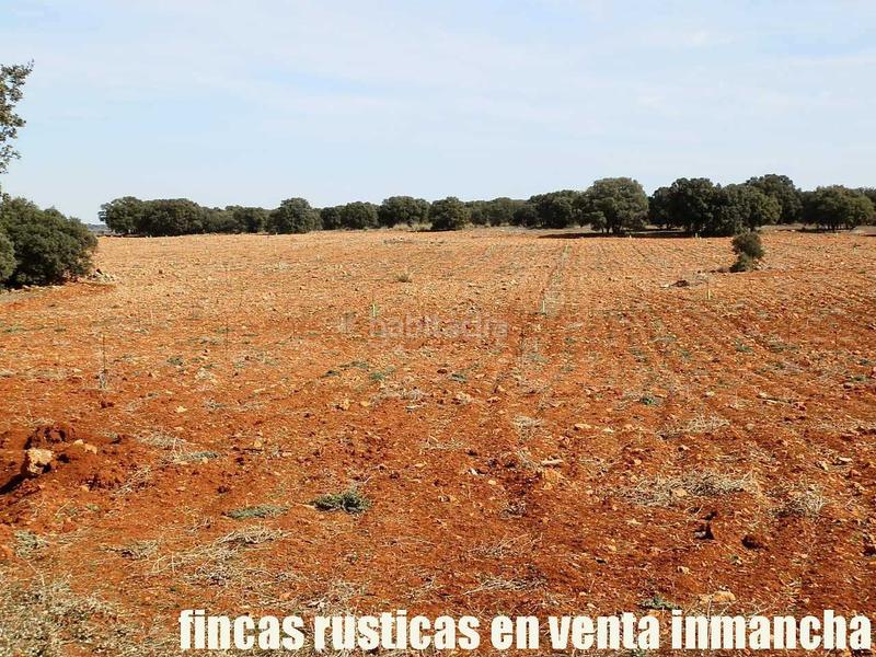 Foto 16bf1e28-84d8-4d69-b22a-f75d4e92e176. Finca rústica a Solana (La)