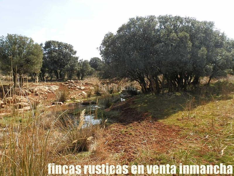 Foto 17914baf-b118-41ce-a4bf-4c9e8e5061ba. Finca rústica a Solana (La)