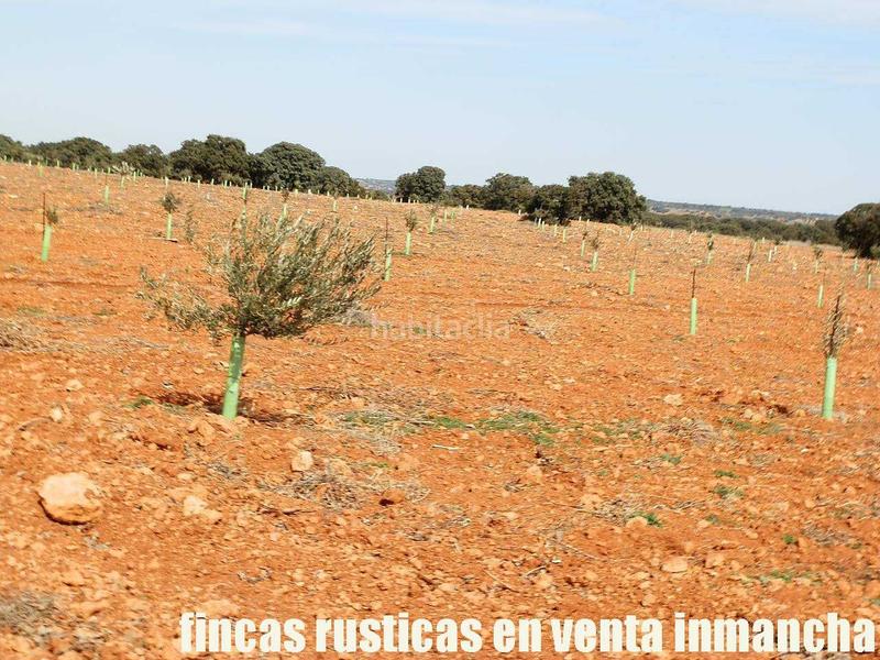 Foto 1c9559fe-e262-48d4-a66f-7e6ebe55afab. Finca rústica a Solana (La)