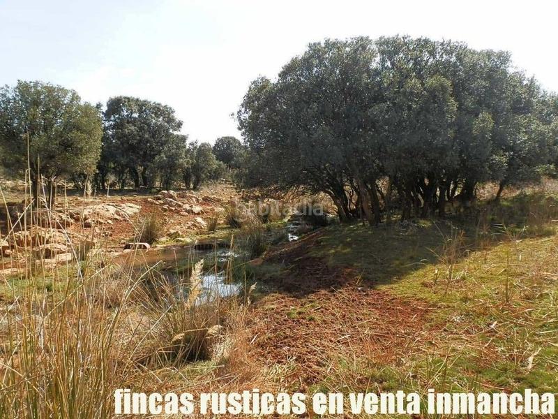 Foto 2a2fd552-6b8a-4dbe-b01a-b188a89dbf65. Finca rústica a Solana (La)