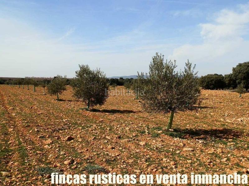 Foto 4dab070a-be52-4379-ada3-3a521e2894b9. Finca rústica a Solana (La)