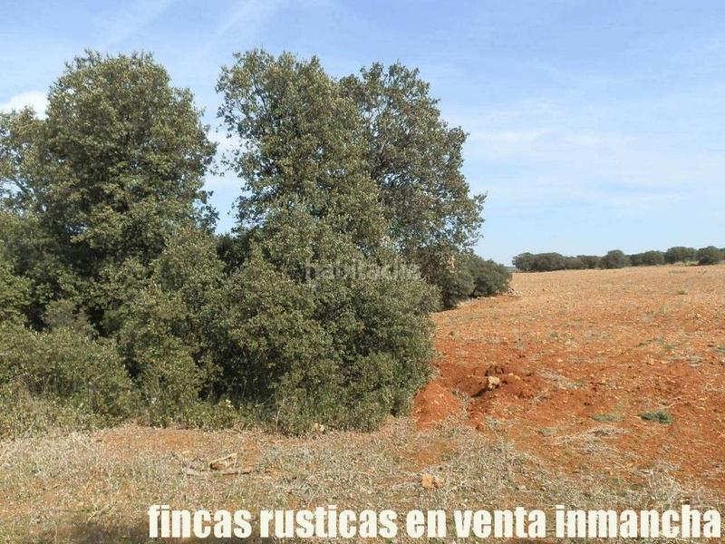 Foto 523143a4-fb3b-4d9e-aeae-593b701d23ec. Finca rústica a Solana (La)