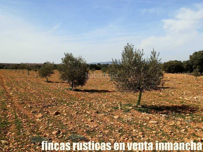 Foto 54b799e3-4f59-4033-a2ab-0f26f0f2a245. Finca rústica a Solana (La)