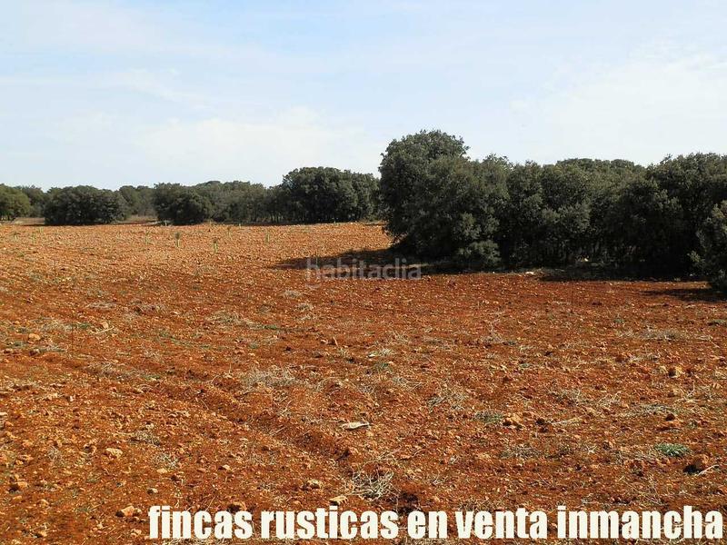 Foto 624a5c80-6744-414b-9b18-0f11d0907dfb. Finca rústica a Solana (La)