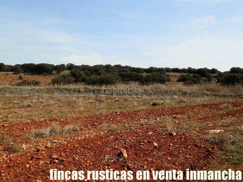 Foto 69b7fc77-da6a-4639-9832-c950fe8ab3a3. Finca rústica a Solana (La)