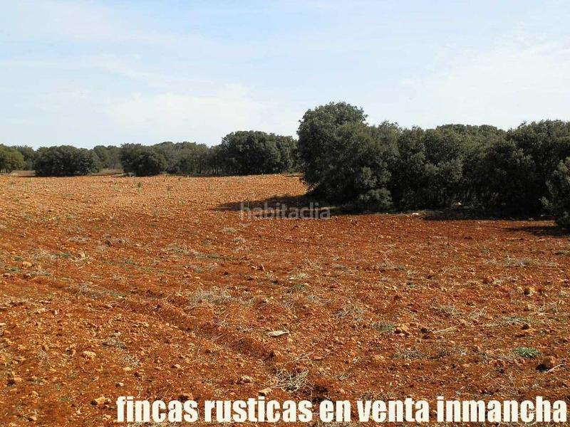 Foto a4626784-f454-4d14-b3ba-55c9b43f6a28. Finca rústica a Solana (La)