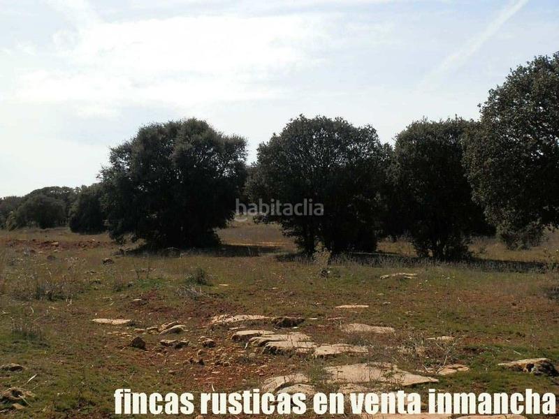 Foto a9dac8ec-4f66-412e-8b17-1d02a5b424fd. Finca rústica a Solana (La)