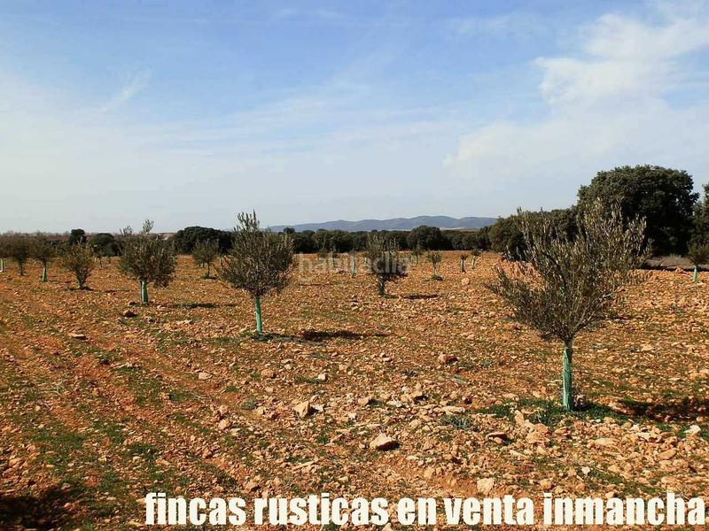 Foto adf6fb73-c439-4e4c-908d-fd3ecdf03889. Finca rústica a Solana (La)