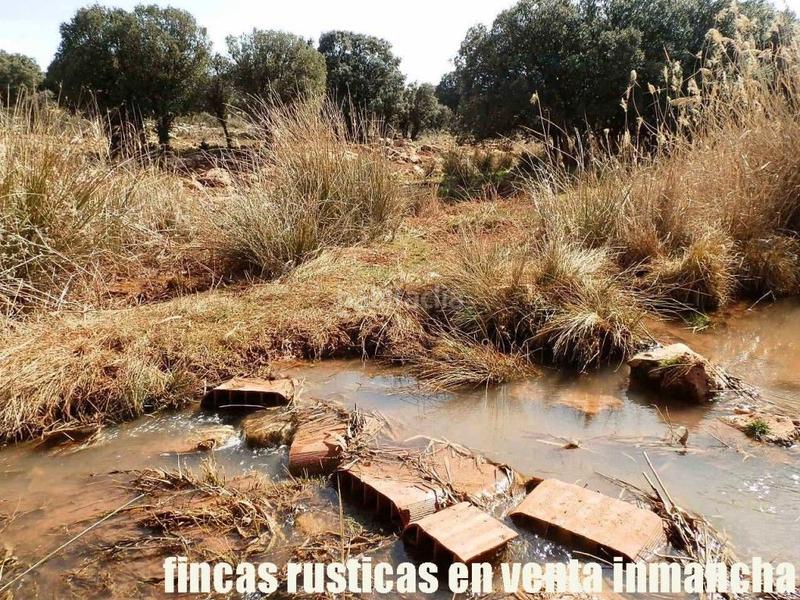 Foto c7567518-9a2f-48b5-ad0c-6909ee74e39f. Finca rústica a Solana (La)