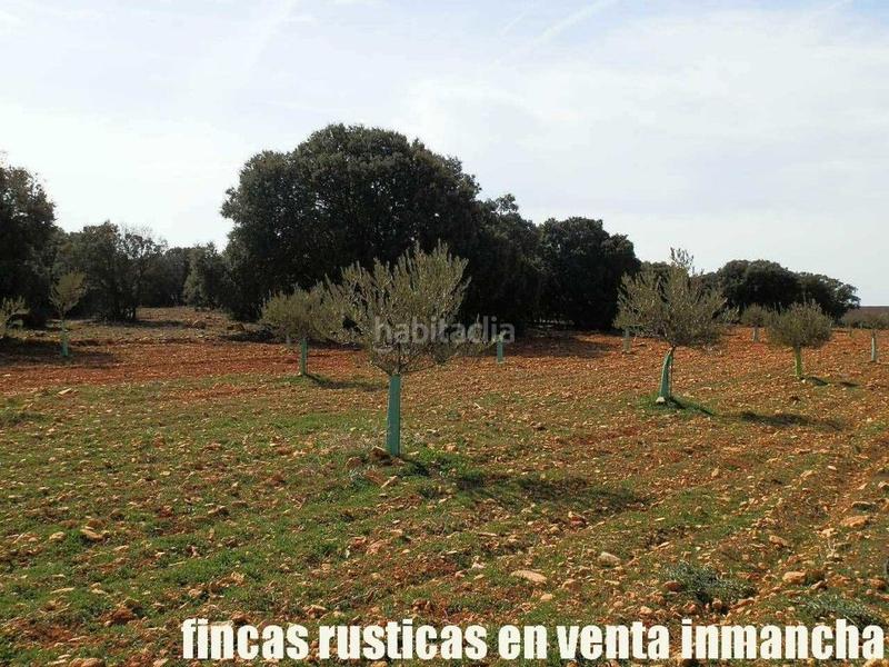 Foto cbb04a89-a877-4b7a-83bd-b28d381d799f. Finca rústica a Solana (La)