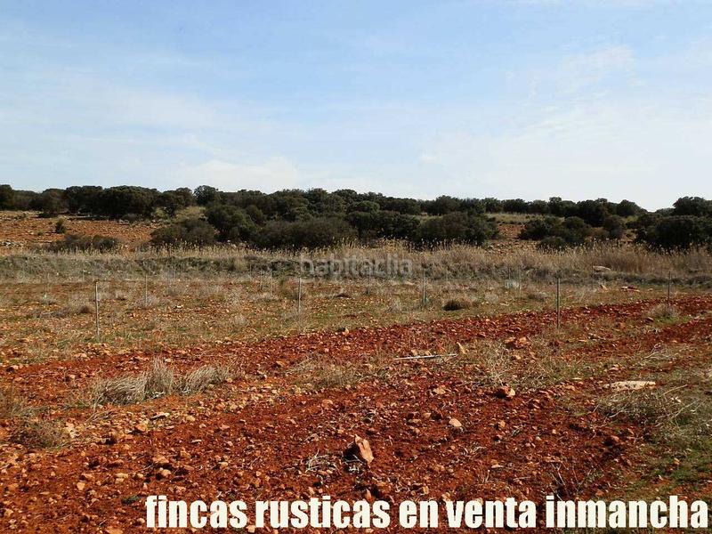 Foto e22b7701-f93d-4cba-819a-1ed327b97bca. Finca rústica a Solana (La)