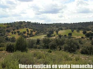 Finca rústica a Balazote. Finca en venta labor secano almendros monte caza menor en albace