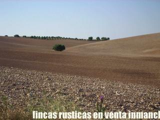 Rural plot in Almarcha (La). Finca en venta labor secano monte caza menor en cuenca