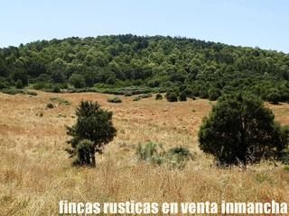 Finca rústica a Real de San Vicente (El). Finca en venta recreo ganadera en toledo