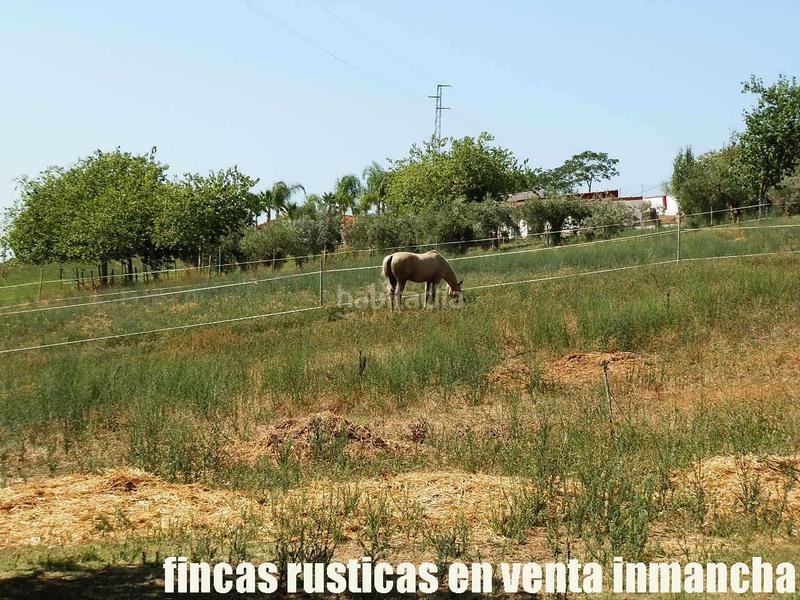 Foto 0982bbee-a401-41cf-836a-f47d9fafda49. Fondo rustico in Pizarra