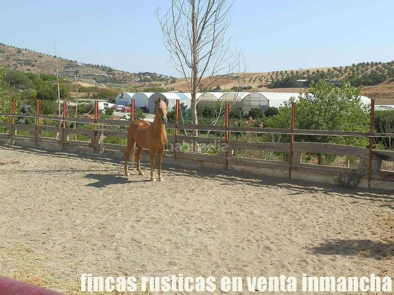 Foto 697aa72d-8b5e-4eb1-9b4b-ce602ac079ca. Fondo rustico in Pizarra