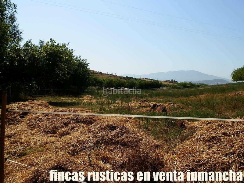 Foto 9da47025-703f-4040-ba83-fb677476e39d. Fondo rustico in Pizarra