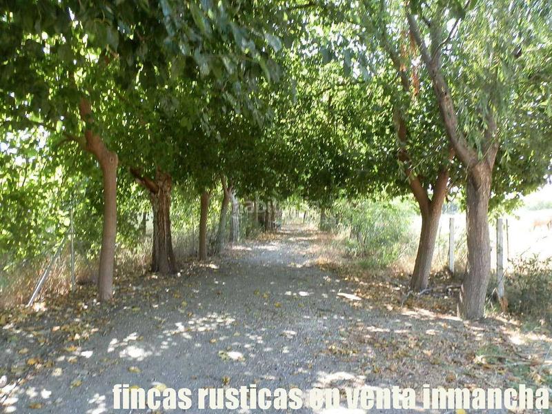 Foto b3776223-2d03-4fe2-976d-877f8b07939c. Fondo rustico in Pizarra