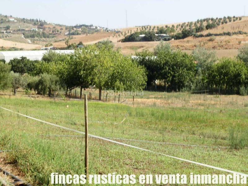 Foto e6cf2ad3-ed4e-4e07-97e5-d153a47d949c. Fondo rustico in Pizarra