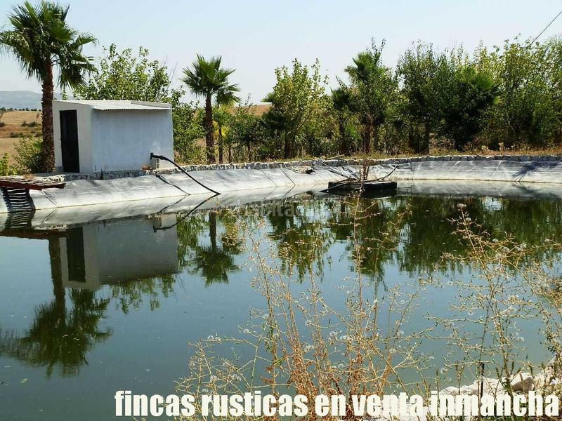 Foto ec48abe3-a7a0-4967-befb-2779185f1f34. Fondo rustico in Pizarra