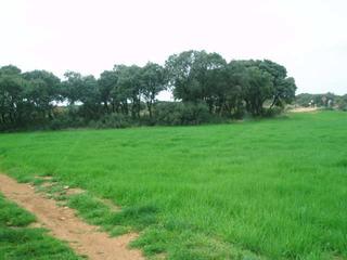 Propriété à Motilla del Palancar. Fincas inmancha 600 has. labor monte caza menor en motilla del p