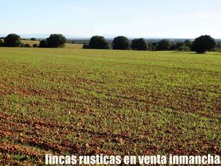 Finca rústica a Ossa de Montiel. Finca en venta labor secano monte caza menor en albacete