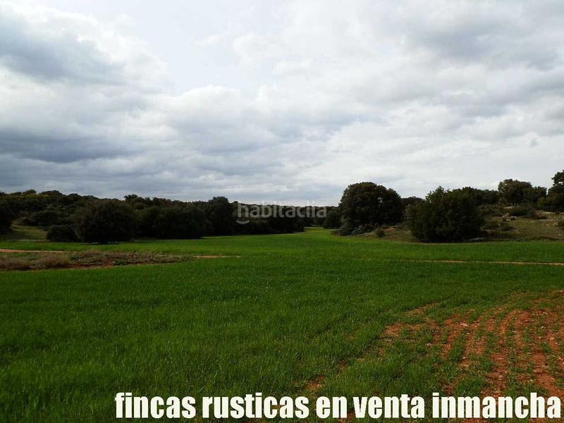 Foto 0ad12631-8fc5-4062-afbf-9442979065b1. Finca rústica a Ruidera