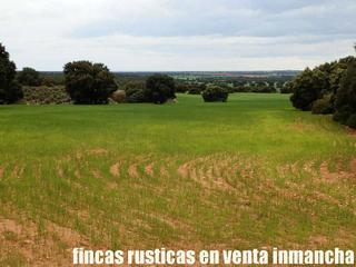 Finca rústica a Ruidera. Finca en venta labor secano monte caza menor