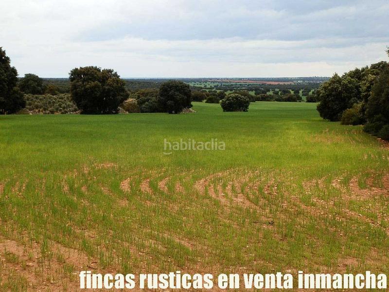 Foto 388984dc-0756-416b-8b5d-c421125fa724. Finca rústica a Ruidera
