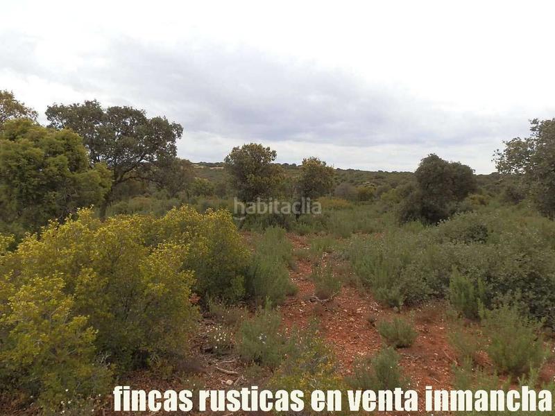 Foto 42dbf9aa-1957-485a-bfab-8ecac3c013fe. Finca rústica a Ruidera