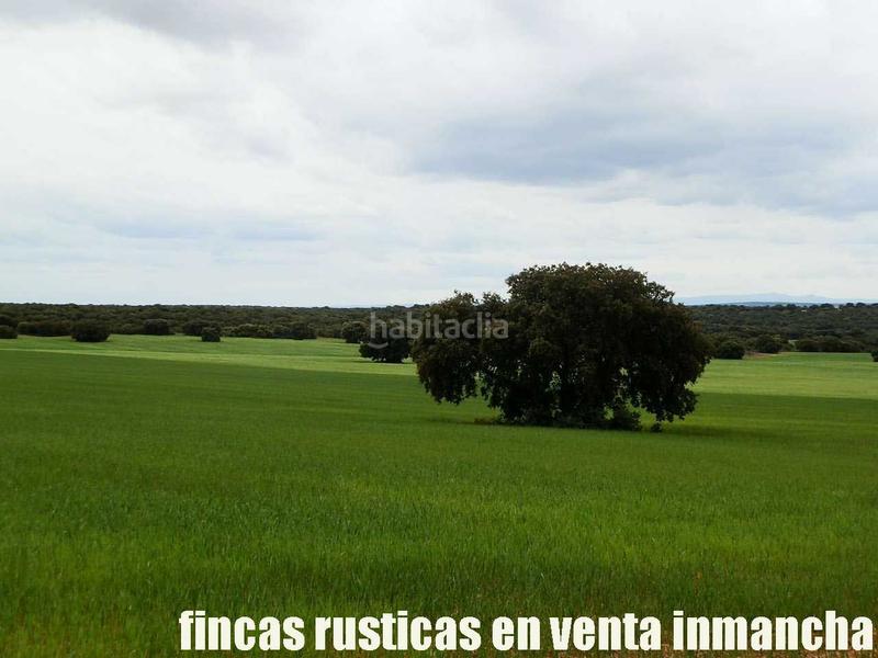 Foto 4364e9da-d4de-44b4-8808-70b6f50d92c1. Finca rústica a Ruidera