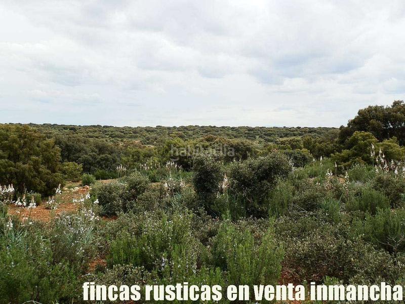 Foto 4fe67a91-2d7d-4542-8ed9-eed3161a60d9. Finca rústica a Ruidera
