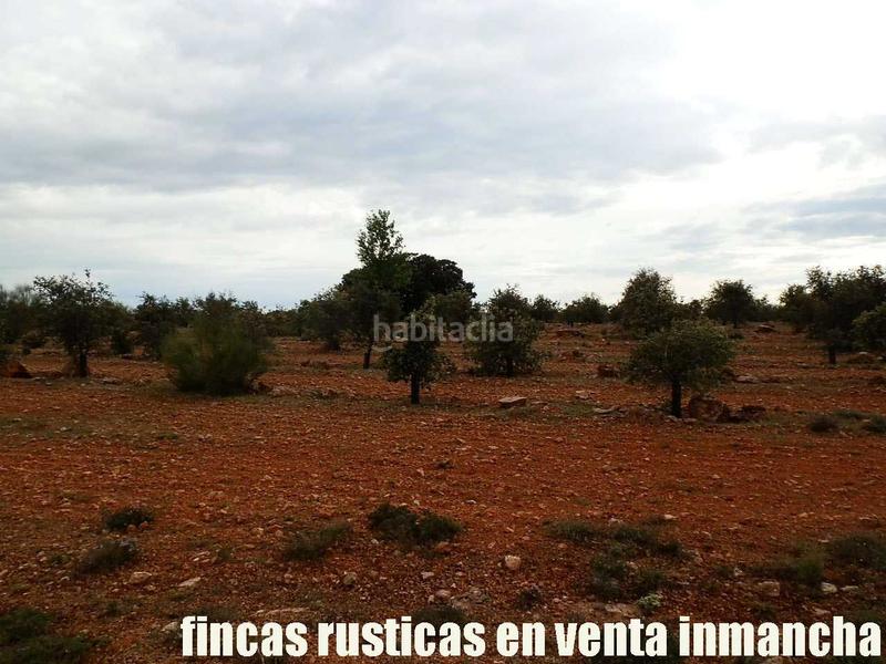 Foto 5edbb90b-b23a-4ad5-a052-208c618b1caf. Finca rústica a Ruidera