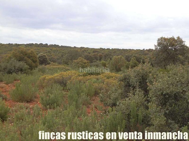 Foto 680be478-62f3-4012-8154-f47e2f19e2b2. Finca rústica a Ruidera