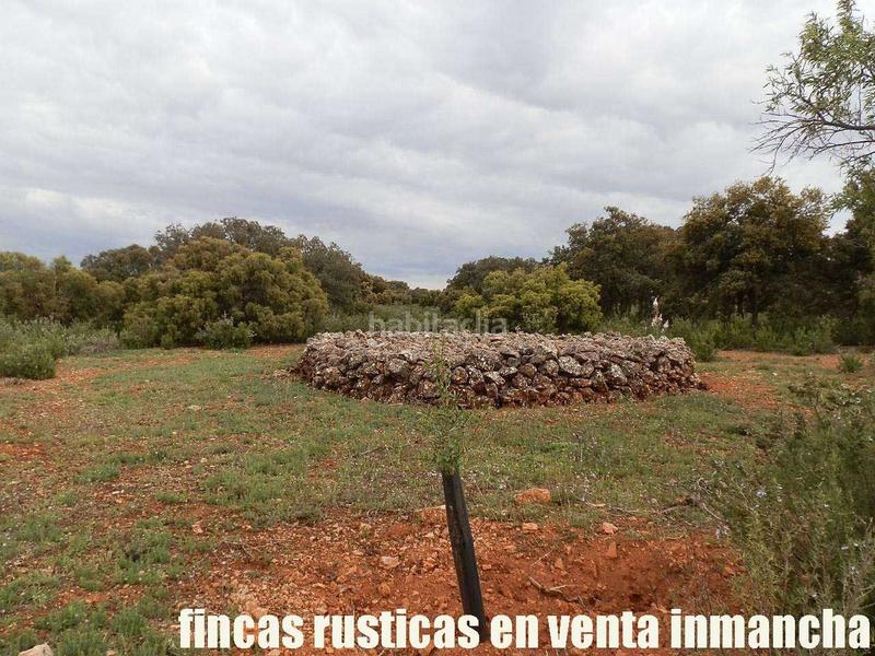 Foto 7b5b5410-004e-41be-a2d8-51dab27a4bb0. Finca rústica a Ruidera