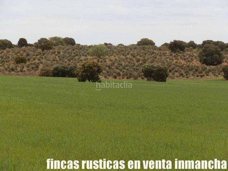 Foto 7d88a984-11f3-433c-b1b8-8dc703ca800e. Finca rústica a Ruidera