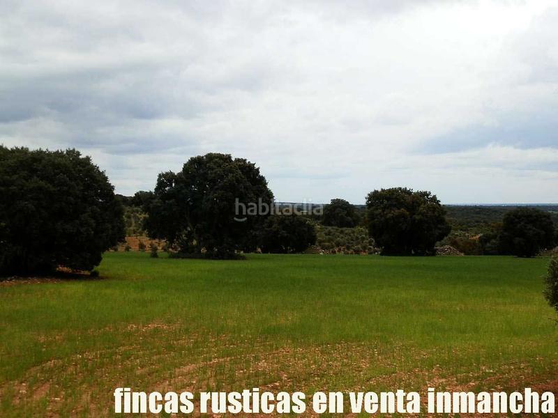 Foto 7ee33039-d251-4ba5-953b-6036e8bfbdbe. Finca rústica a Ruidera