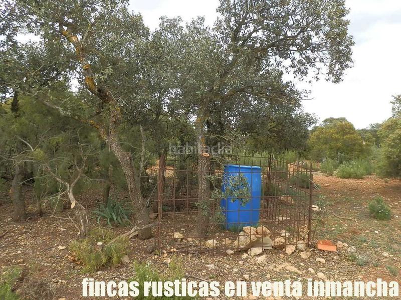 Foto 831437df-2873-4945-9a48-57f7533c3894. Finca rústica a Ruidera