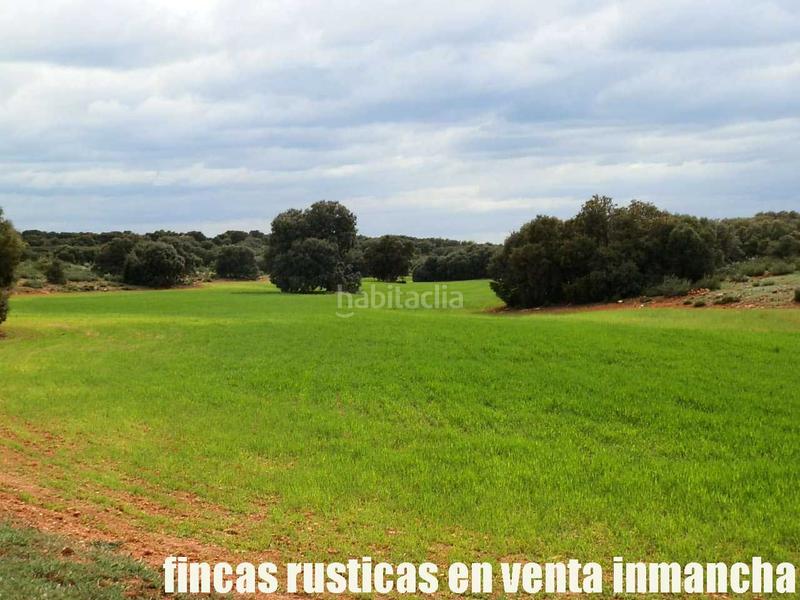 Foto 8eb2b55a-adca-4cd1-bf7f-6a0df6bc6f73. Finca rústica a Ruidera