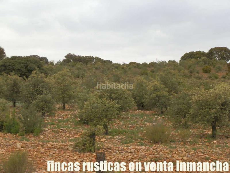 Foto aa02479b-85e7-448a-b7aa-740504acc76f. Finca rústica a Ruidera