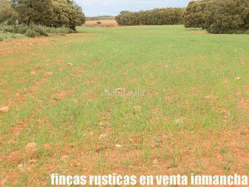 Foto b0bfec55-94e3-43e0-b4eb-cdbdbd873797. Finca rústica a Ruidera