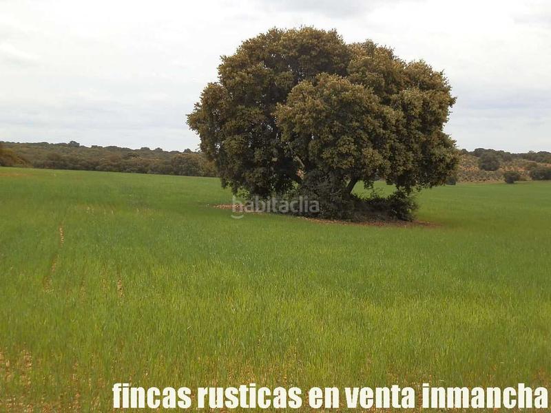 Foto b2d7ea80-07b6-4041-86ae-d7e8fa05589b. Finca rústica a Ruidera