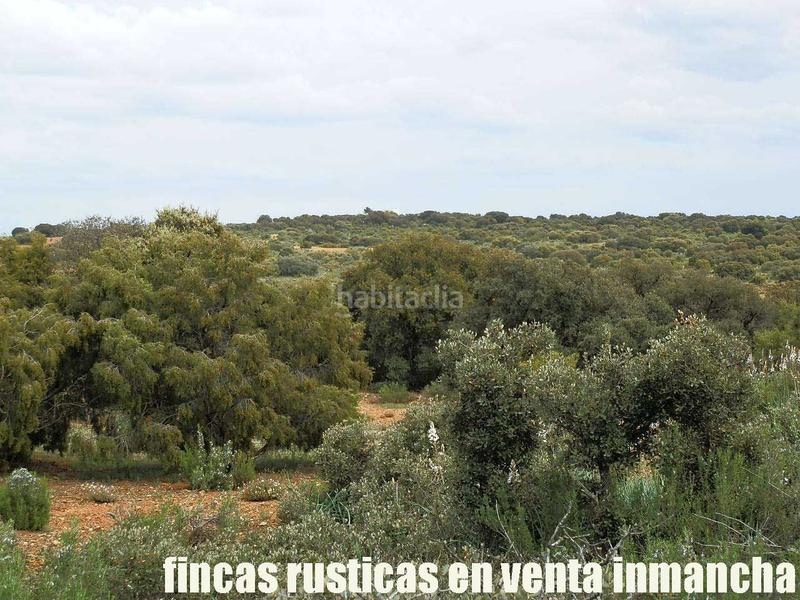 Foto c60bc164-70b3-4337-91a0-412cf653f008. Finca rústica a Ruidera