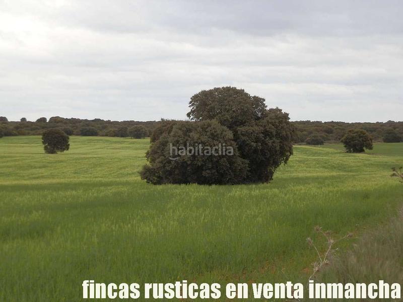 Foto eb31e730-2b65-42f8-a254-115b3e6e1fcb. Finca rústica a Ruidera