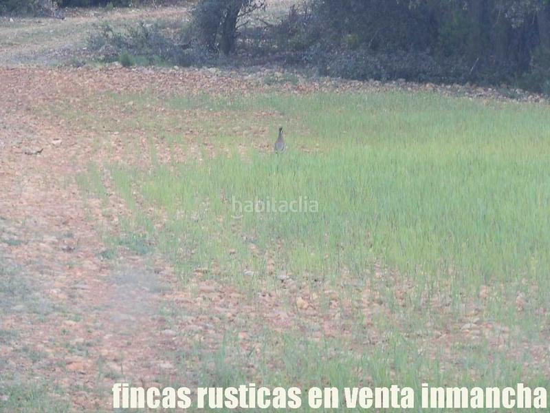 Foto f25d3038-3823-4d4e-9694-3507a43ee3fe. Finca rústica a Ruidera