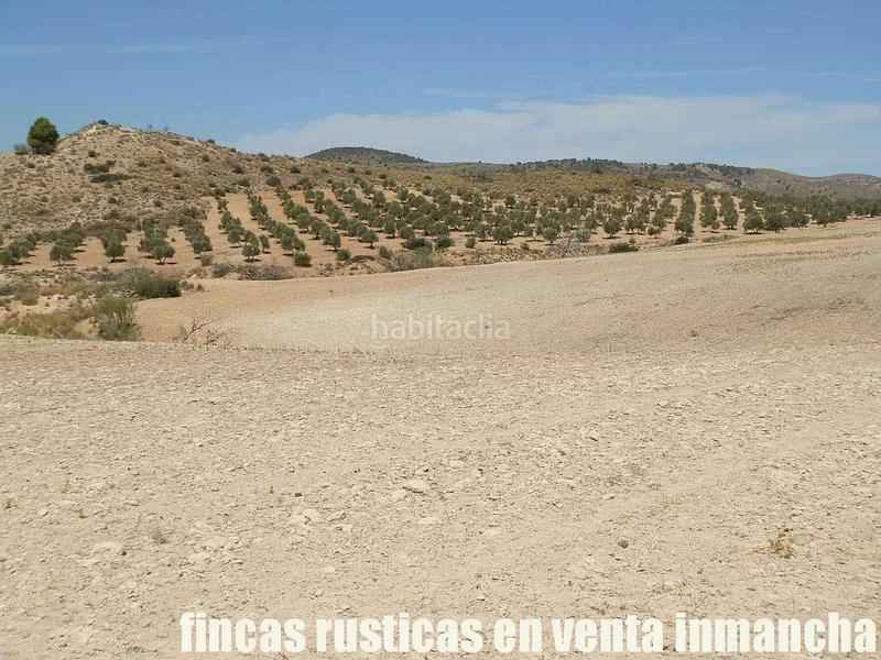 Foto 154b4f19-1255-48ec-b668-4e11f06e1543. Finca rústica a Cabra del Santo Cristo